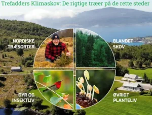 Sustainable Change Makers Trefadder Screenshot